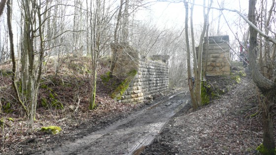 Forêt de Pontarmé