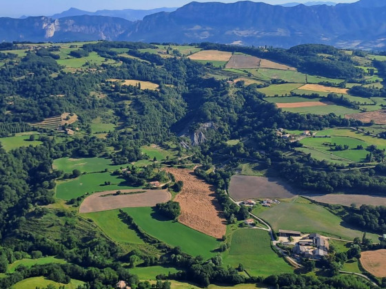 For&ecirc;t de Sao&ucirc;