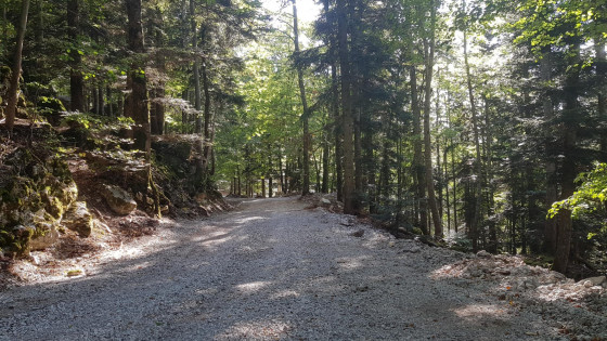 for&ecirc;t de Saou