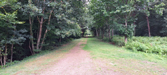 Forêt de Sébécourt - La voie verte