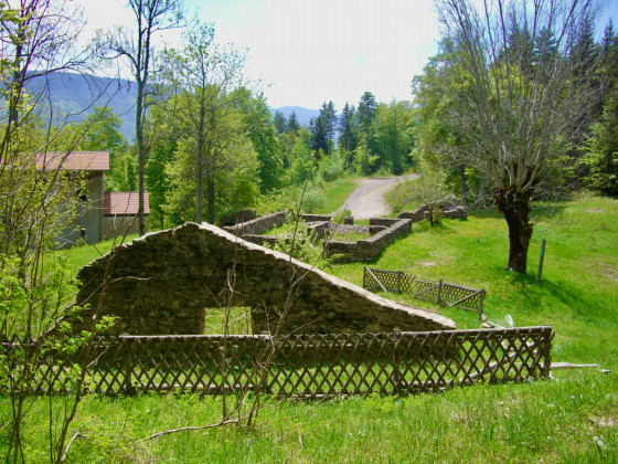 Forêt des Coulmes