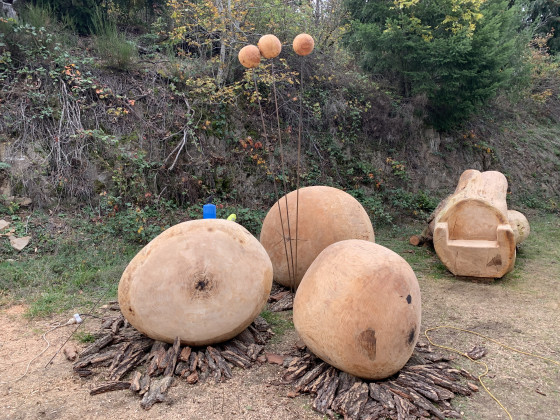 For&ecirc;t des exp&eacute;riences