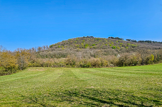 Forêt des Fouillouses