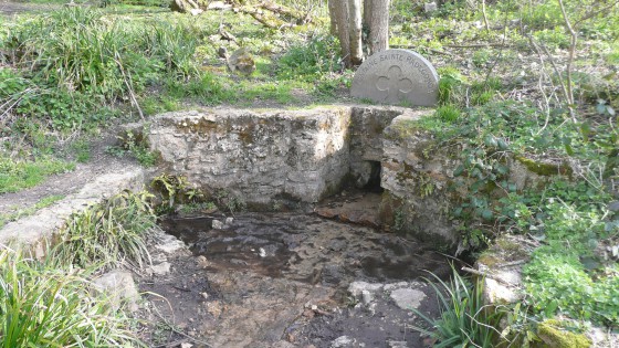 Forêt Domaniale de Montmorenccy