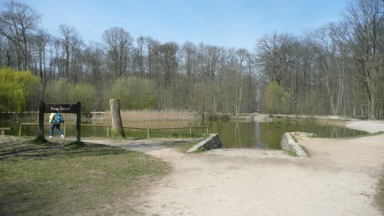 Forêt Domaniale de Montmorenccy
