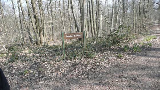 Forêt Domaniale de Montmorenccy