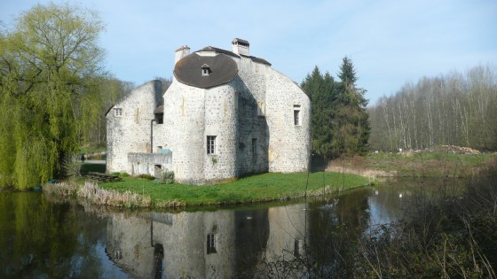 Forêt Domaniale de Montmorenccy