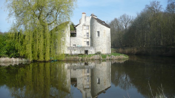 Forêt Domaniale de Montmorency