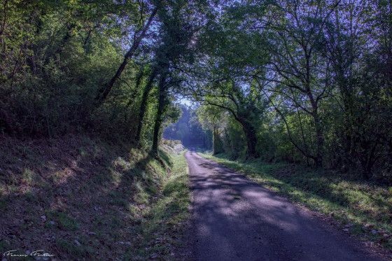 Forêt domaniale de Roquebrune