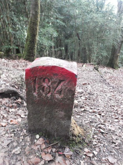 Forêt domaniale de Saint-Pé-de-Bigorre, borne N°184