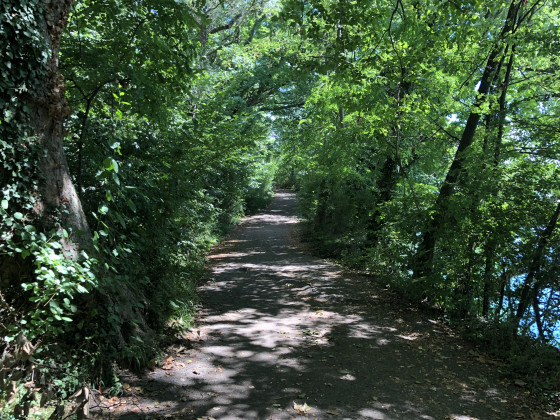 For&ecirc;t du Fort Ulrich