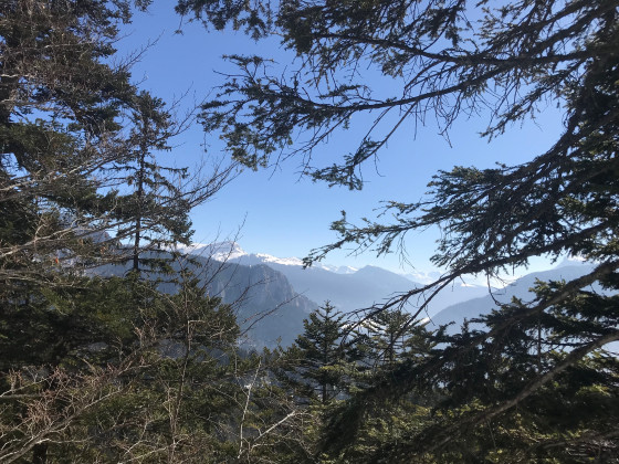 Forêt entre la Cerna et Billon