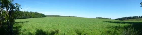 Forêts et patûrages