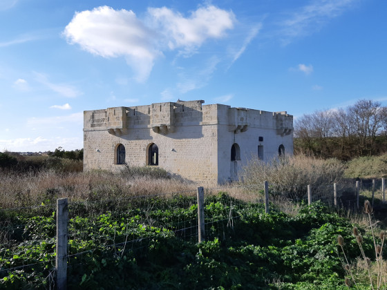 A faire : Tour de la presqu'île de Loix - Randonnée