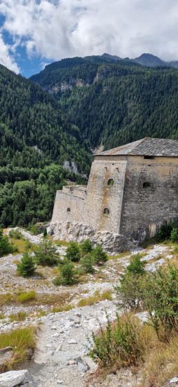 Fort VE