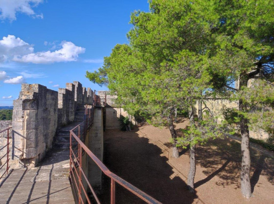 Forteresse de Beaucaire