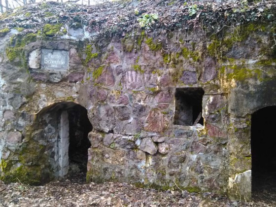 Fortin Scheufele
