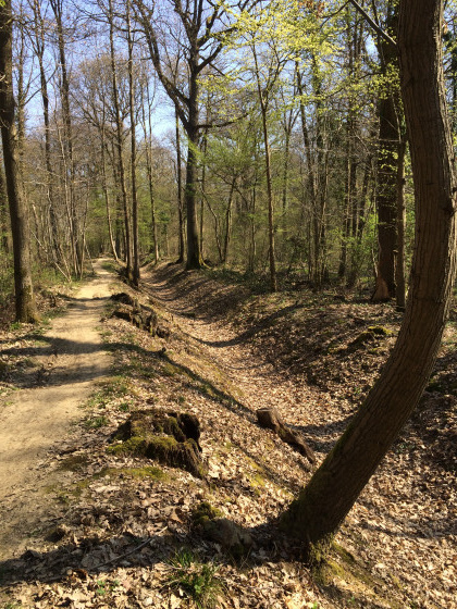 Rigole