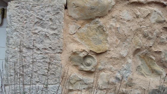 fossile