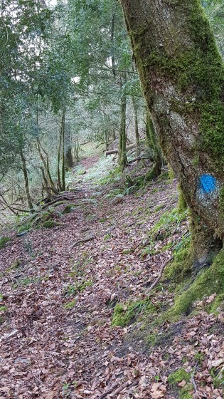 Fourche sur le Serrat dets Castets