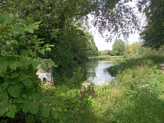 Frayère d'Aulnois