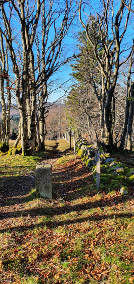 frontière Alsave-Vosges