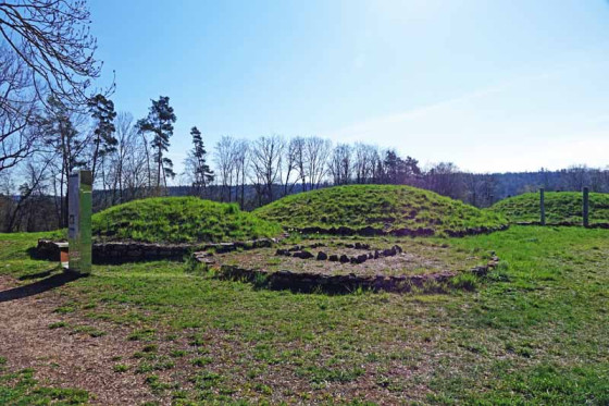 Frühkeltische Nekropole