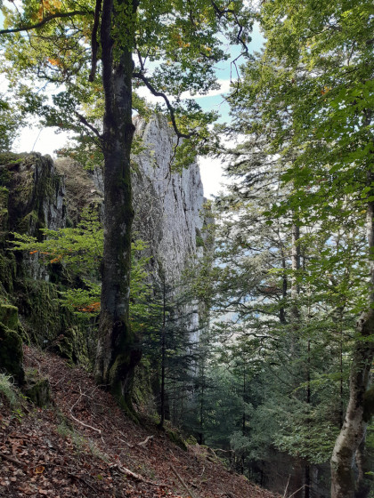 Fuchsfelsen
