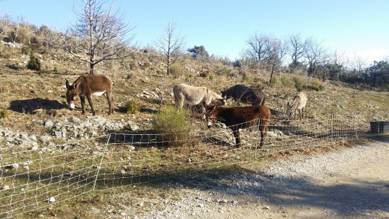 Gardiens du parking