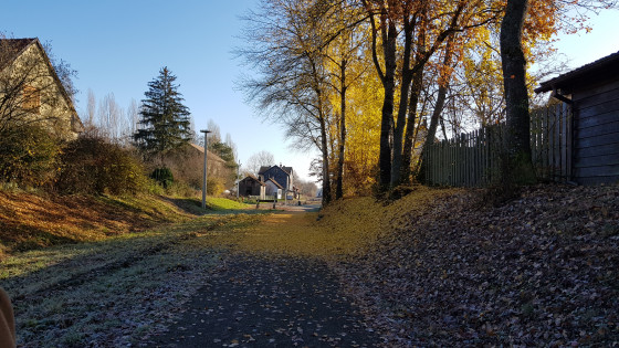 Gare de Sentheim l'automne