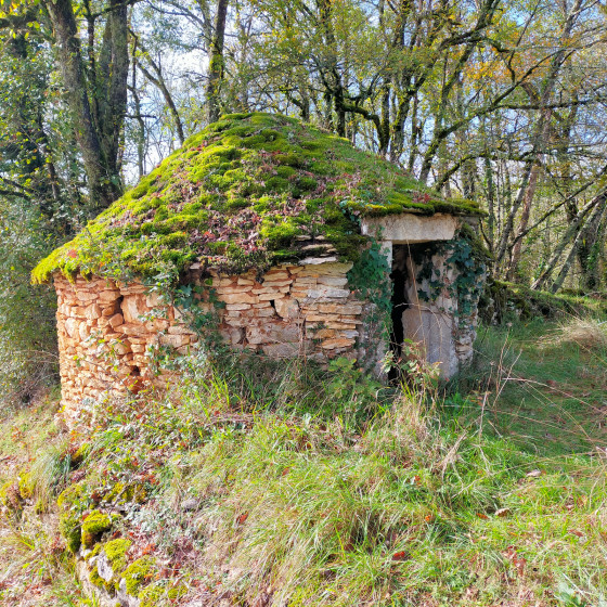 Garotte, au bord du chemin vers Martignac