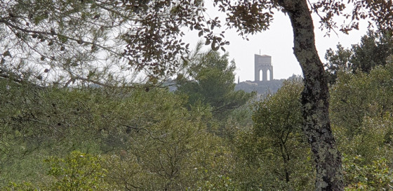 Garrigue et château d\'eau de Castries