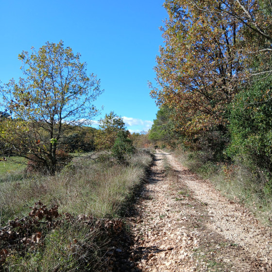Garrigues