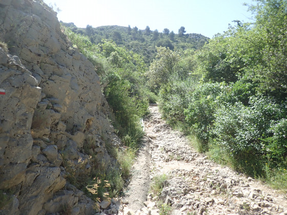 Gaudre de Valrugue