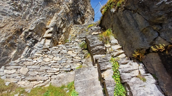 Gemmipass
