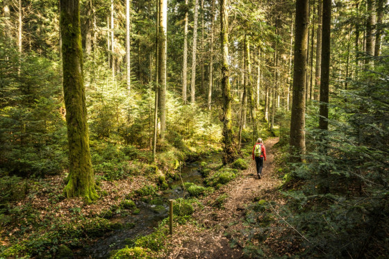 Sentier des gourmets - Sentier de l\'eau, de la forêt et des prairies - Calw-Bad Teinach-Zavelstein