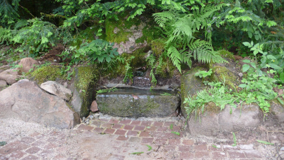 Sentier des gourmets - Sentier de l'eau, de la for&ecirc;t et des prairies - Calw-Bad Teinach-Zavelstein