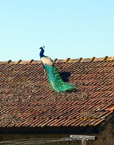 Gîte du moulin Pion