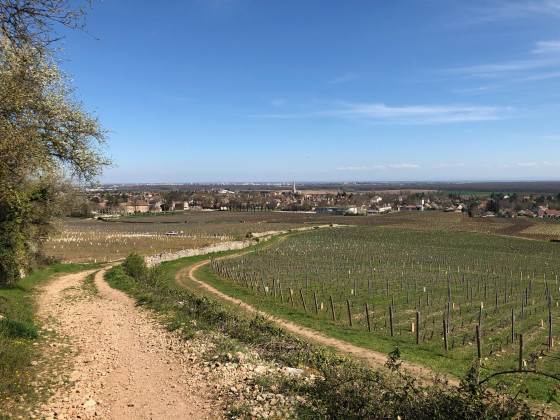 Givry