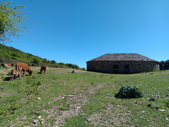 Glacière restaurée