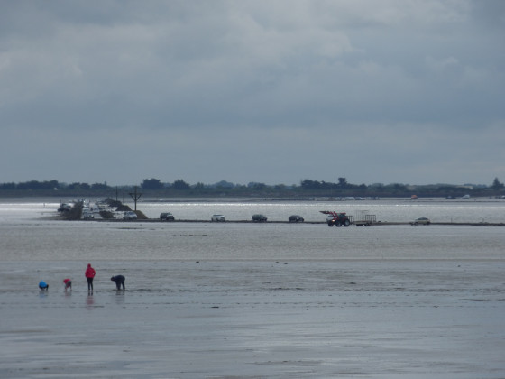 Gois et pêcheurs à pieds