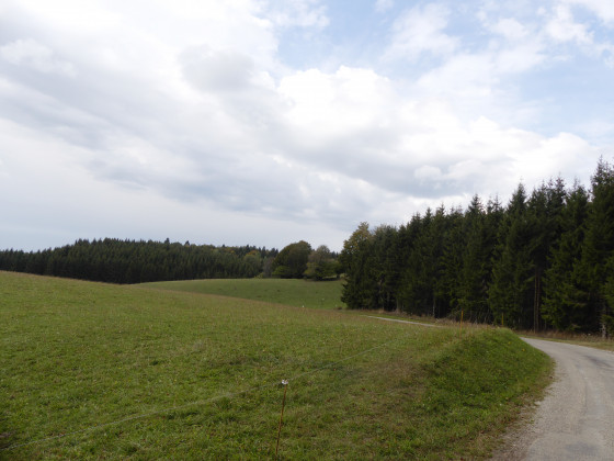 Golet Sapin