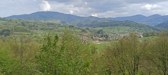 Golfplatzblick