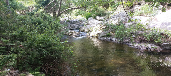 Gorge de Lavail ( Rivière la Massane)
