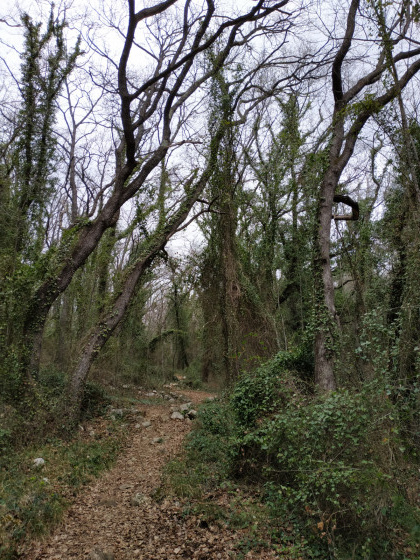 Gorge des Trucs