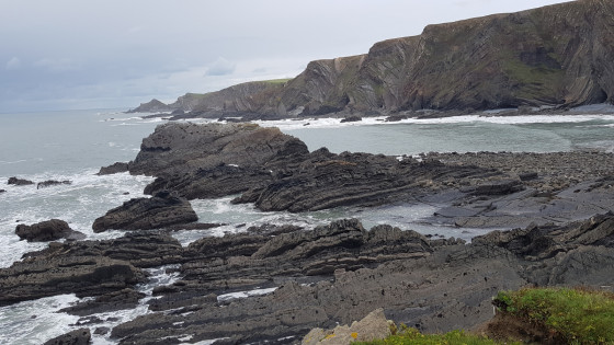 Magnifiques couches rocheuses tortueuses depuis Hartland Quay