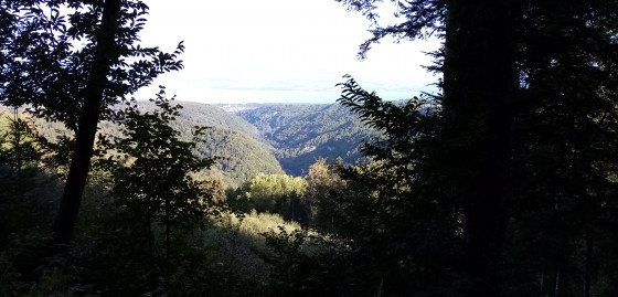 Gorges de la Dranse