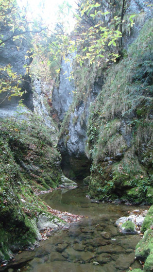 Gorges de la Semine
