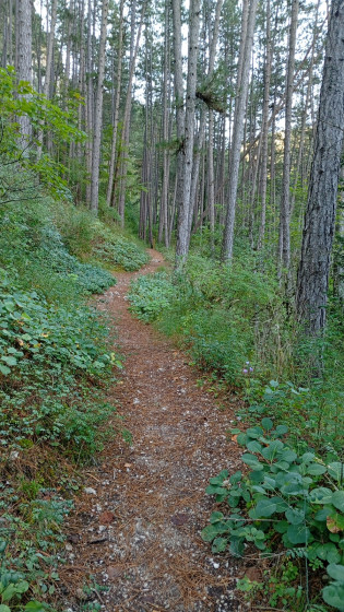 Gorges de Tr&eacute;vans