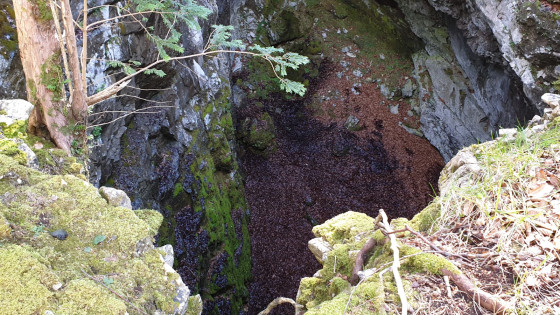 Gouffre de Paybou Gouffre de Paybou